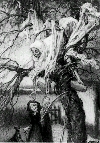 Death in The Pear Tree